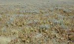UT080101GM28_1