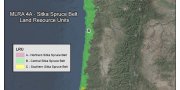Sitka Spruce Belt