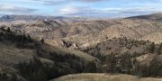Central Rocky and Blue Mountain Foothills