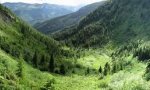 alder_draw_lookout