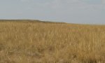 T4_LoUp_W_CheyCo_9-12-17(2)