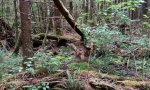 002photo1