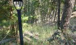 coolwoodland_Mix