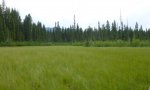 basin1