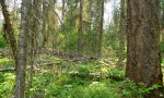 clun_xete_2_1