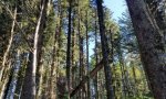 F004AB403WA 1-1