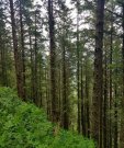 F004AB403WA 1-4