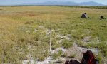reference playa slope