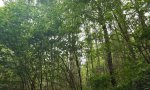 F004AB404WA 1-3