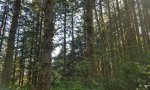F004AB404WA 1-4