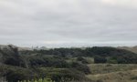 IMG_2103