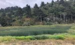 IMG_2157