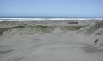 Beaches