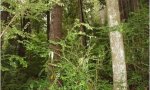 F004BI106CA_Image