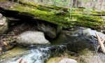 RedwoodCreek_RiparianLRUI