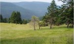 ElkCamp_BaldHills
