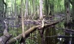 Barry_T240_sp3_landscape-x