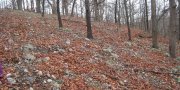 Ozark Highland