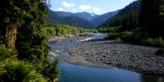 Northern Pacific Coast Range, Foothills, and Valleys