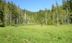 13-PHR-066_site2.JPG