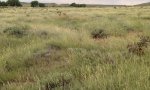 Shaly_Plains_CEAP_Tour_Rifle_Range_6-22-16_Crowley_Co