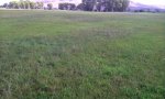 2013MillerLL_DSC00529 Pasture