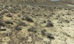 2020_SwLy-PP_PM1 landscapeview