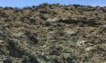 2020_SwLy-PP_PM1 interbedded sandstone-shale