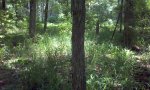 2013-06-19_13-42-05_78_303_TERA (4)
