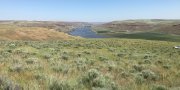 Columbia Plateau