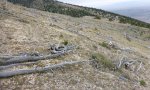 Blowdown