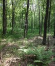 IMG_1313