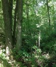 IMG_1322