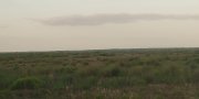 Southern Florida Lowlands