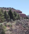 IMG_20220614_104327208