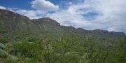 Trans-Pecos Mountains, Plateaus, and Basins