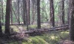 13NR00304_RPC