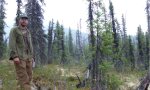 2015AK290526_lowDQ