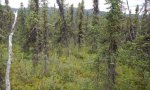 2016AK290563_RPClowDQ