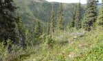 2016AK290633_RPClowdq