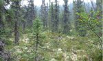 2015AK290524_RPClowdq