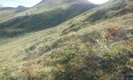 2016AK290454_3_RPClowdq2