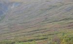 12NR03502_solifluction lobes