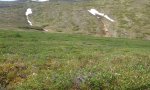 2017AK290526_RPClowdq