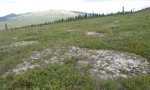 2016AK090012_1lowdq