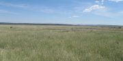 Upper Arkansas Valley Rolling Plains