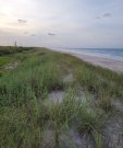 coastal dune strand atlantic - Palm beach NASA