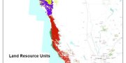 Coastal Redwood Belt