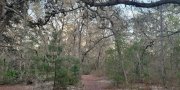 South-Central Florida Ridge