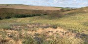 Palouse and Nez Perce Prairies